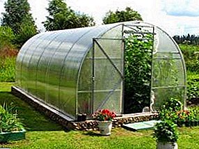 We build arched greenhouses from polycarbonate with our own hands: drawings, advantages, frame options