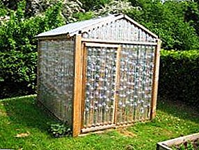 Build yourself: Greenhouse of plastic bottles with their own hands