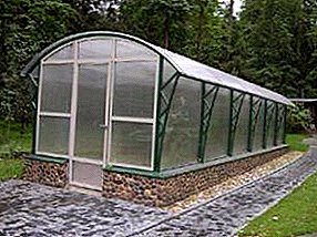 We build ourselves: greenhouse made of polycarbonate and galvanized profile with your own hands