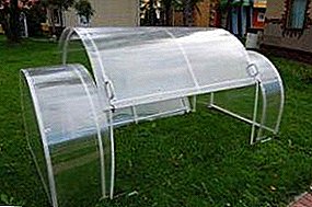We build ourselves: greenhouse with opening roof - advantages, technical features, stages of assembly
