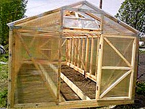 We build ourselves: a greenhouse with your own hands from wood and polycarbonate