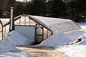 We build winter greenhouses with our own hands: types of projects and device year-round designs