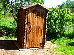 Construction of wooden toilet in the country with their own hands
