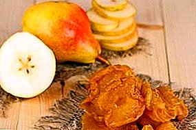 Drying pears at home: how to dry properly?