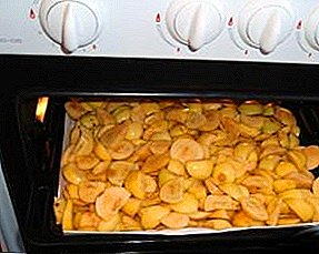 Secando peras al horno para el invierno en casa.