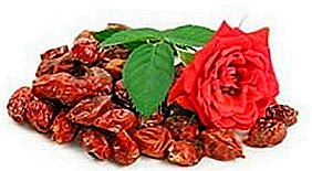 Làm khô hông hoa hồng trong lò nướng ở nhà được đảm bảo để bảo quản các đặc tính có lợi của quả mọng