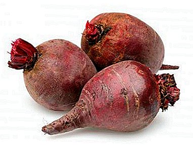 Beets in cooking. Which is more useful for the body - boiled or raw?