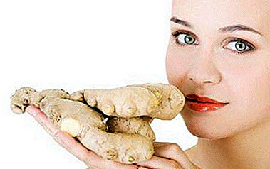 Fresh, dried and pickled ginger: what is good for women, how is it used for treatment and in cosmetology?