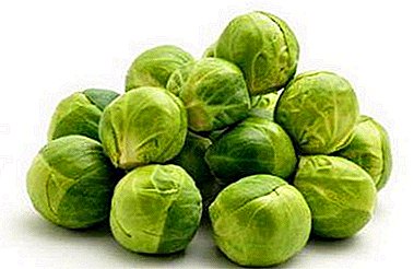 Properties of Brussels sprouts - benefit, harm, nutritional value