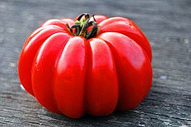 Tomato Kejutan Dunia - perihalan ciri-ciri pelbagai tomato "Bakul Bast Mushroom"