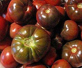 Tomate de frutas escuras "Paul Robson" - segredos de cultivo, descrição da variedade