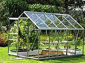 Gör-det-själv glas växthus: välja plats och produktionsstadier