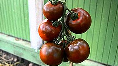 Tomate "Kumato": Beschreibung der Sorte schwarzer Tomaten, Empfehlungen für den Anbau