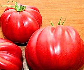 Tomates para dientes dulces - Variedades de higos Tomate Rosa y Rojo.