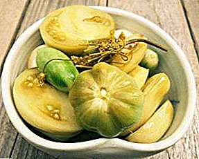Subtleties of preparation for the winter of pickled green tomatoes. Tasty and quick recipes