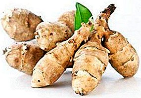 Jerusalem artichoke and its beneficial properties for the body