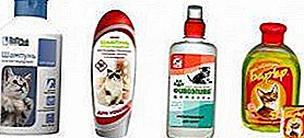 Remove parasites clean! Flea shampoos for cats