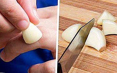 We remove papillomas with garlic - the pros and cons of the method, popular recipes