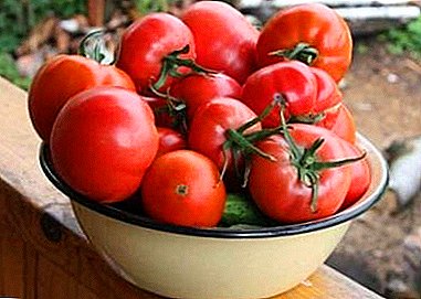 Universal og frugtbar tomat "Openwork": Karakteristika og beskrivelse af en karakter, et billede