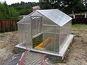 Construcción de invernadero de policarbonato: base de invernadero de bricolaje.