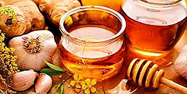 Vad är användningen av vitlök, citron och honung för rengöringskärl? Klassiska och andra recept för dessa produkter.