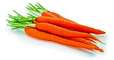 What are the benefits and harm carrots for men? Does it help to improve potency and with ailments?