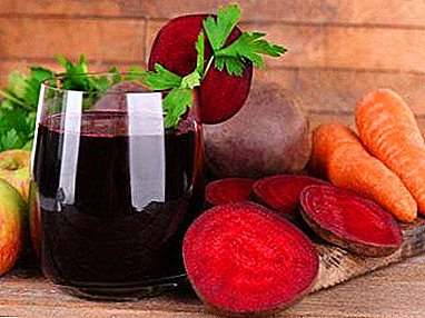 사탕 무우와 당근 주스의 효과와 피해는 무엇입니까? 음료를 만드는 방법과 그것을 먹는 방법?