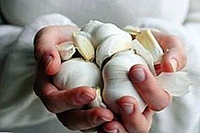 Choose from the best, how to store garlic for the winter at home: in the refrigerator or in banks?