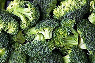 Välj det bästa urvalet av broccolaskål - en källa till vitaminer på bordet