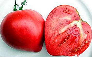 Seleção de jardineiros experientes - tomate coração rosa: descrição da variedade, vantagens e desvantagens, dicas de crescimento