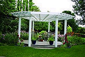 Video: how to build a pergola with your own hands?
