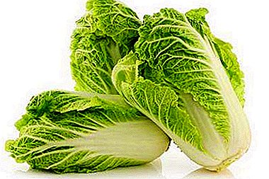 The exit for those who refuse to cabbage because of gastritis. Allowed methods of use and recipes