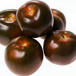We grow a useful tomato "Viagra": description of the variety and photo
