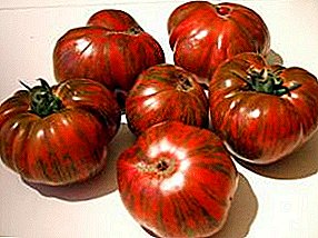Mēs audzējam „Marshmallow in Chocolate” - tomātu ar unikālām īpašībām: šķirnes un fotogrāfijas apraksts