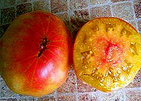 غلة عالية من مربي سيبيريا - نوع من الطماطم "سر الطبيعة"