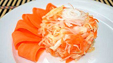 Deliciosas recetas de repollo instantáneo marinado con zanahorias y otras verduras, métodos de servir