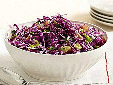 Delicious salads from red cabbage: with apples, sour cream, onions and other products
