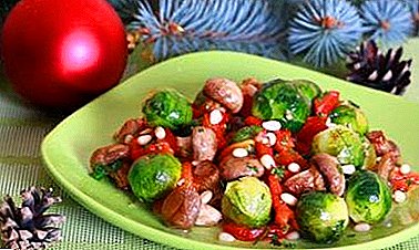 Delicious homemade salad recipes with Brussels sprouts