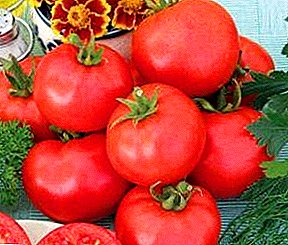 Smakelijke tomaten met een mooie naam - tomaten "Gift of a Woman": beschrijving van het ras, foto