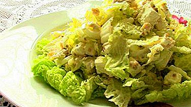 Delicious recipes for salads with Chinese cabbage and cheese