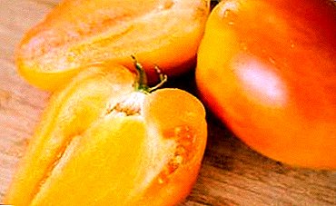 Ljuva tomater med ökad nytta - "Fairy Gift": beskrivning av sorten, dess egenskaper och odling