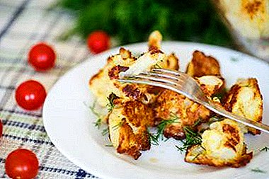 Delicious recipes of cauliflower with chicken in the oven