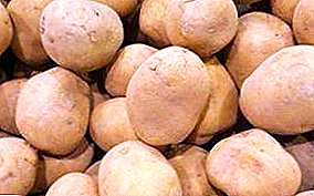 Ukusna i plodna krumpir "Lugovskoy": opis sorte i fotografije
