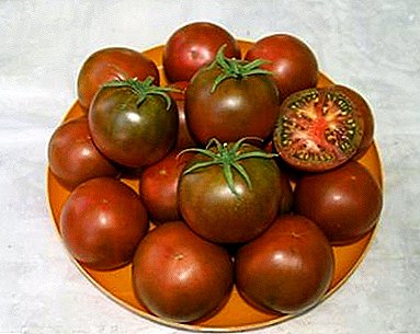 Heerlijke, pretentieloze, mooie variëteit aan tomaten "Chocolade"