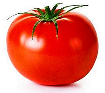 Herkullinen tomaatti hedelmien ystäville hapan kanssa - kuvaus tomaatin "Love" hybridilajikkeesta