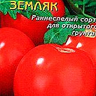 Heerlijke groeten uit Siberië - tomaat "Countryman": kenmerken, beschrijving van het tomatenras en hun foto's