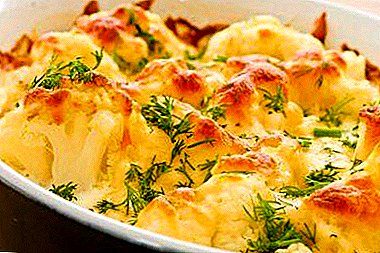 Culinária deliciosa - couve-flor cozida no forno com ovo, queijo e outros ingredientes