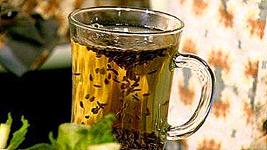 טעים ובריא - תכונות מרפא של תה עם שומר, הכללים להכנתו הקבלה