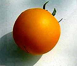 Soleil savoureux dans votre jardin - tomate "Yellow Ball": description de la variété, recommandations de culture
