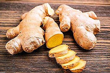 The effect of ginger on the human body. Is it good for the liver and other internal organs?